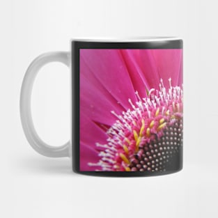 A Study of the Gerbera Mug